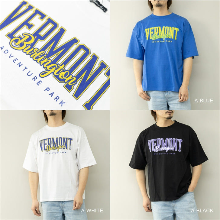 Tシャツ メンズ 半袖 ロゴプリント アソート ビッグシルエット ビッグTシャツ レディース ユニセックス