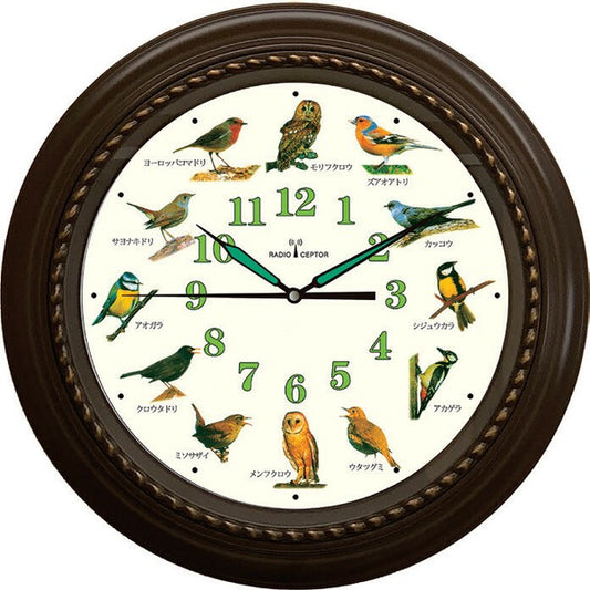 Wild bird radio clock