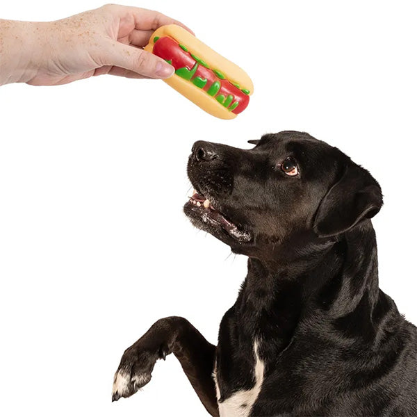 dog toy hot dog